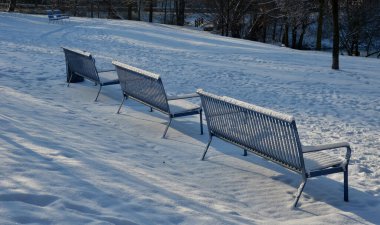 Açık mavi banklarda, kafes benzeri metal şeritlerden yapılmış parklar. Çöp tenekesi ve park yolları çakıl harman zemini olan güzel çimenler. # Şehir parkında güneşli bir gün # 