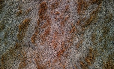 Göletlerle dolambaçlı dere. İnsanlar zigzag çizelgesini yeniledi. Memeliorasyonu iptal ettiler. Manzaradaki suyu muhafaza etmek için önlemler alındı. Boğulmuş bir ağacı olan gölet, kürk gibi donmuş çimlerle çevrilidir.