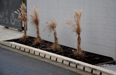 drainage hidden on the edge of an asphalt road Drainage system hidden in a perforated concrete gray curb. the water along the entire length of the road drains into the sewer through holes, grass tying