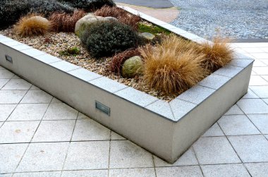 perennial beds with ornamental flowers and grasses. lightly covered with layer of fresh snow. textures of dry stems, leaves and flowers are highlighted.recessed light, wall, raised flowerpot, pebbles