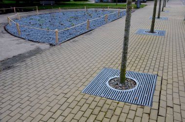 flower bed, treeline, lattice, with a circular hole for a tree trunk that is in middle of a cobbled square, or on a loft. with trunk, ornamental park, paving, arch, square, barrier, dog, landscaping