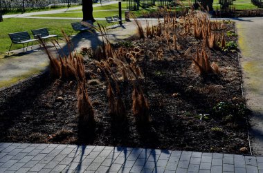 Çok yıllık yatak kireçtaşından bir duvarın önünde kireçtaşından bir duvarla kaplanmış kireçtaşı bir meydanda ahşap panelli, bej yol doğal bej sıkıştırılmış ezilmiş taştan, sonbaharda kuru çimenler.