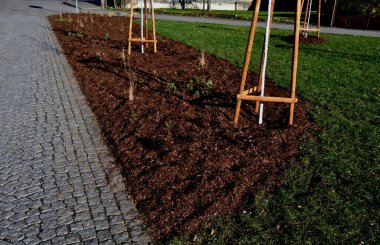 Decoratively acts, prevents the growth of weeds and evaporating of humidity from the soil. The modified sprucebarkcrushed fractions 2  8 cm. wood shavings