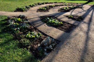 public, herb, nature garden with metal corten numbers. Individual herbs and perennials grow under numbers. Labyrinth of park paths in shape of concentric circle,  beige sand arches, dog, cat, medicine