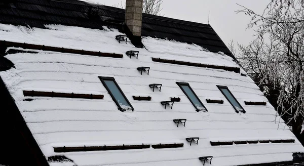 retaining bars against drifting snow falling melting down from the tin gray roof. ladder for chimney access to sweep the flue soot. protects pedestrians from avalanche. cottage, house, log cabin, shed