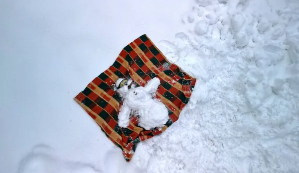 Снеговик Лежал Протянутыми Спине Руками Одеяле Загорал Солнечные Очки Сигара — стоковое фото