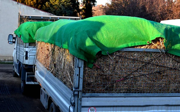 a properly covered pile of garden maintenance grass clippings on a trailer with a trellis body for more truck capacity. gardening services and cleaning of public parks, mesh, hay stack, composting