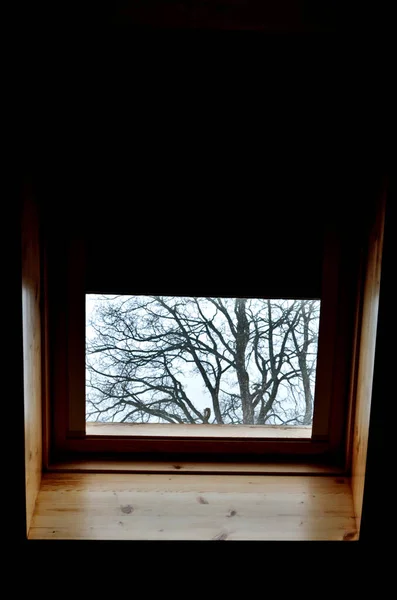 brown sunroof blackout blinds. the window is half-open, the curtain drawn down turns day into night. black fiber or aluminum is woven into it. wooden paneling of the ceiling and lining