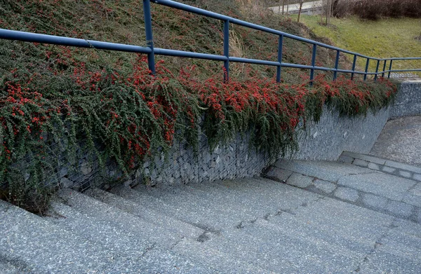 Bouw Van Een Steile Trap Door Stenen Muur Parkeerplaats Met — Stockfoto