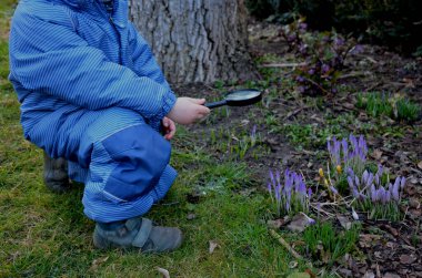 Baba ve oğul, her ikisi de botanikçi, büyüteçle çiçek açan bahar ampullerini ve çalıları inceliyorlar. Küçük çocuk aynı zamanda bir böceği ve bir kruvazörü gözlemliyor. Botanik bahçesi ziyaretçileri davet ediyor.