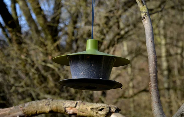 Dispensador Semillas Aire Libre Para Pájaros Pequeños Jardín Parque Techo — Foto de Stock