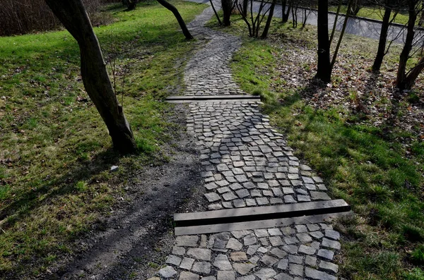 Degraus Madeira Parque Combinado Com Pavimentação Gramado Vigas Escada Estão — Fotografia de Stock