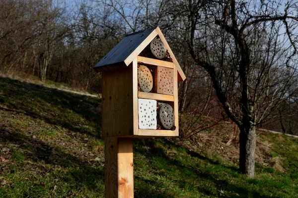 Insect Hotel Nesting Wild Insects Which Needs Irregular Chambers Which — Stock Photo, Image