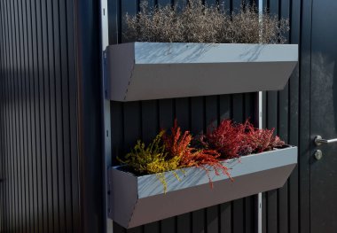 Süslü saksılar çukur kutusunda. Evin, otoparkın, sanayi binasının girişini süsleyin. Metalden yapılmış çiçek saksıları asılmış koyu metal bir cepheye sahip. Parlak sonbahar çalıları