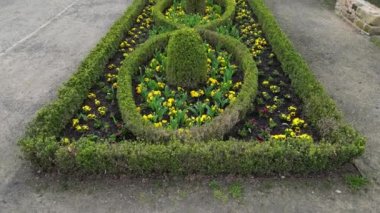 Dikdörtgen çiçek tarhı bir çit ve kesilmiş bir top ile sınırlandırılmış ve bölünmüş. Karalamalar süs, peyzaj ve kaldırım taşlarında yeşil bir kurdele olarak üç kez tekrarlanır.