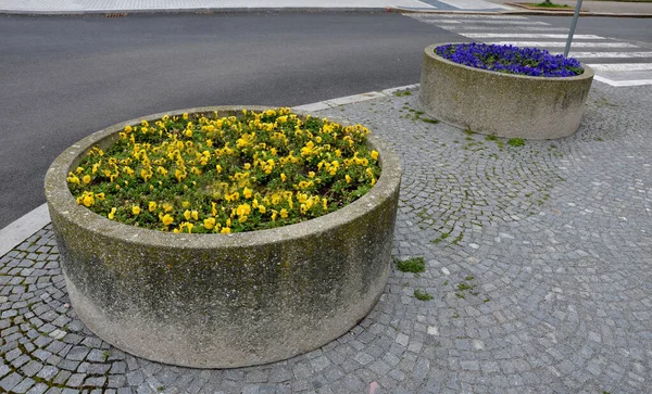 Vaso Floral Tigela Tons Quadrados Cidade Laranja Amarelo Telhas Paralelepípedos — Fotografia de Stock