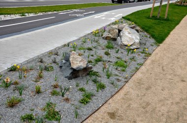 Yollar ve şeritler arasında bölünmüş bir adası olan yayalar ve bisikletçiler için gezinti alanı, asfalta boya püskürtülmüş yol işaretleri. Tekerlek, ok ve üçgen. Lüks kaplıca, harman, ahşap bank