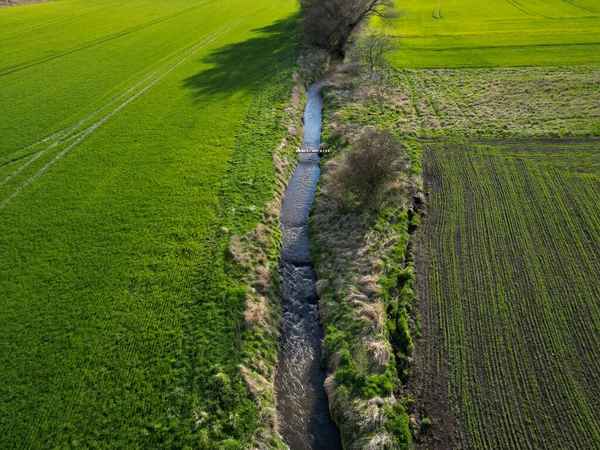 early sprouting trees and blooming cherries controls agricultural activity and grain quality. ruts from a tractor and counting the condition of game in the forest using a drone flying above the ground