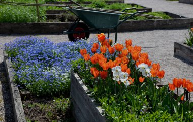Geometrik dikdörtgen ahşap okaya çiçek tarhları şeklindedir. Yükseltilmiş saksılarda çiçek ve sebze yetiştiriyorlar. Toplum bahçesinde ampuller ve elektrik tesisleri, nergis.