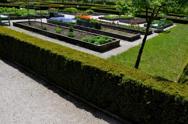 几何图形长方形木制木瓜花坛 在盆栽中种植高于地面的花卉和蔬菜 社区花园的球茎和公用事业植物 水仙花 — 图库照片