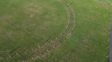 Biyo-koridorlar ve at kaplamalı yeni oluşturulmuş park alanının üzerinde uç. Yollar boyunca ağaçlar dikilmiş, üzerinde kalite kontrol uçağının uçtuğu dev bir daire şeklinde. kompozisyon sadece zevk alabilir.