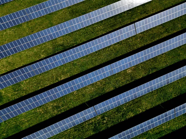 Planta Fotovoltaica Campo Colza Cultivos Tecnología Química Paneles Solares Silicio —  Fotos de Stock