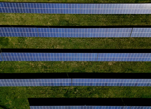 Planta Fotovoltaica Campo Colza Cultivos Tecnología Química Paneles Solares Silicio —  Fotos de Stock