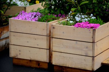 Doğal ladin tahtalarından yapılmış çiçek saksıları. Şirketin önündeki otoparkta, mağazanın yanındaki terasta müşteriler için bir park yeri var. kaya bitkileri ve çalılar