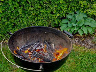 Izgarayı sıradan bir odun parçasıyla ısıtmak mümkündür. Çalılar ve uzun ömürlü süs çiçekleri arasında bahçe barbeküsü