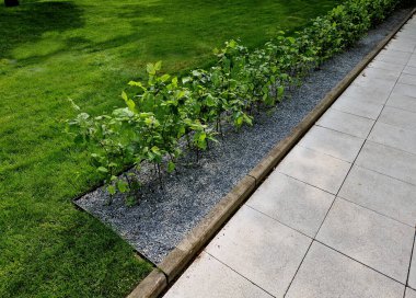 Bahar mevsiminde yeşil çalılar hafif gövdelere ve geniş dallara izin verilirse bahçenin çevreden doğal olarak ayrılması kuraklığa dayanabilir. 