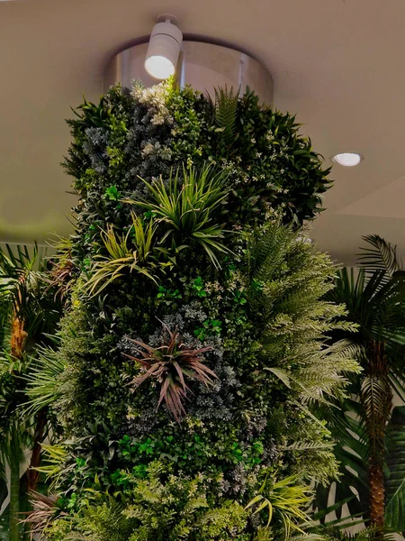 green vegetation columns in the hotel lobby, offices. with overhead lighting halogens shine on plants to photosynthesize. complex system of irrigation pumps and hoses can be replaced by plastic flower