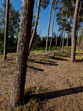 Çam ormanı göl yönündeki erozyonla parçalanmış. Kumsalın üstünde ziyaretçiler için banklar, bira ve yiyecek büfeleri olan otlak bir alan var.