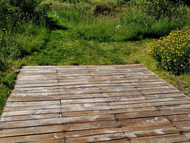 farklı yay kesme yükseklikleri. Meyve ağaçlarından oluşan yeni bir cadde tarafından çimenli bir yolun köşesinde kesilmiş bir şerit. Düz bir arazide at sürmek, yemyeşil bir çayır, teras girişi ahır.