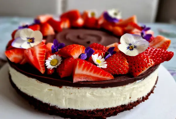 Cheesecake Com Cobertura Chocolate Frutas Redor Perímetro Polvilhe Com Cacau — Fotografia de Stock
