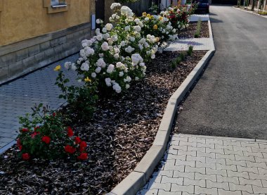 Şehirde yeni beton kaldırım döşemeleri. Caddedeki yataklarda güzel kırmızı ve yeşil güller ve büyük çiçekler vardı. İngiltere 'de kırsal kalkınma projesi