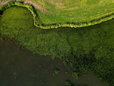 Gölette serbest yüzen su bitkisi cinsi yeşilin yüzeyini bir katmanla kaplar. Kıyı boyuna bir taş, insansız hava aracı ile ziyaret edilebilir ve göl üzerinde alçak bir uçuş görüntülenebilir, yüksek açılı.
