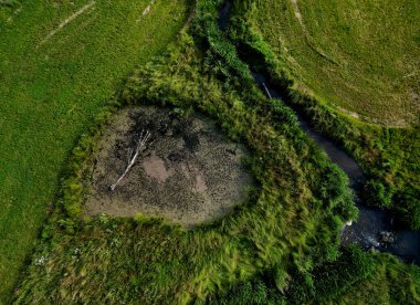 Göletlerle dolambaçlı dere. İnsanlar zigzag çizelgesini yeniledi. Memeliorasyonu iptal ettiler. Manzaradaki suyu muhafaza etmek için önlemler alındı. Boğulmuş bir ağacı olan gölet, kürk gibi donmuş çimlerle çevrilidir.