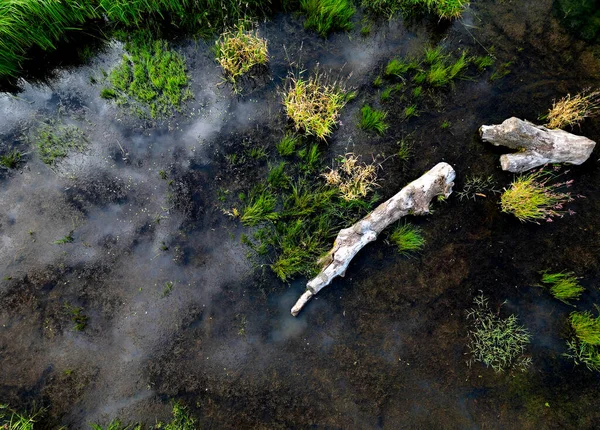 Ρέμα Περιέλιξης Λίμνες Άνθρωποι Ανανέωσαν Ζιγκ Ζαγκ Ακυρώνουν Μελέτηση Μέτρα — Φωτογραφία Αρχείου
