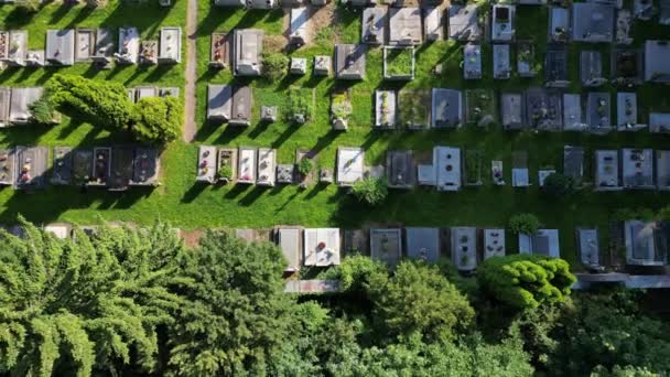 Vista Del Dron Del Cementerio Forestal Vista Desde Arriba Capacidad — Vídeos de Stock