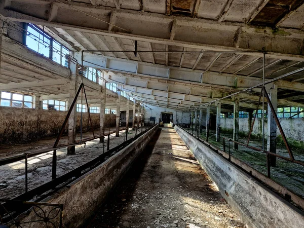 collapse of old piggeries and veal farms due to uneconomic operation of rearing in halls. European subsidies and government regulations drove breeders out of the market.