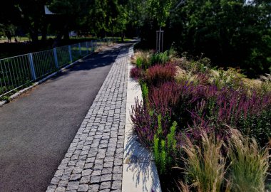 Sonbahar çiçekleri, uzun ömürlü otlar ve siyah taş kaldırımlı bir meydanda, granit kaldırımlar, sonbahar mor beyaz ve sarı astıcılar ve şehir parkında, terasta adaçayı ile süslü otlar.