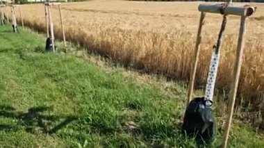 Akçaağaçlar rüzgar sulama torbasına karşı dikmek için sırıkları emniyete aldı. Toprak, plastik folyo, peyzaj, buğday, tarla gibi yerlere yavaş yavaş süzülen yeşil parktaki valf ile su dağıtıyor.