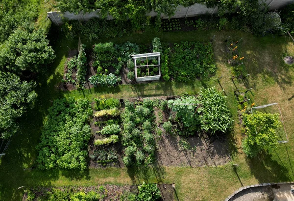 野菜を育てるためのホイル温室は 単に野菜を育てるために使用される食品包装用の縮小包装から作られます 野菜畑の棚の眺め 1列に大根とイチゴを蒔き — ストック写真