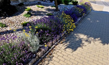 Yamaç parkında merdivenleri olan teraslar. Taş, hafif taşlı duvarlar içeriyor. Uzun ömürlü mavi lavanta ve pembe güller duvarın kenarında yetişir. Çimenler ve çakıl yolları, yol, patika, kale