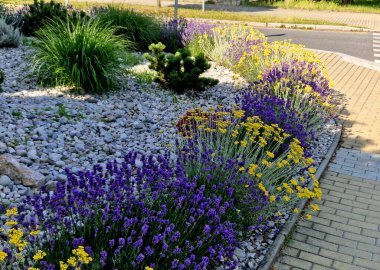 Yamaç parkında merdivenleri olan teraslar. Taş, hafif taşlı duvarlar içeriyor. Uzun ömürlü mavi lavanta ve pembe güller duvarın kenarında yetişir. Çimenler ve çakıl yolları, yol, patika, kale