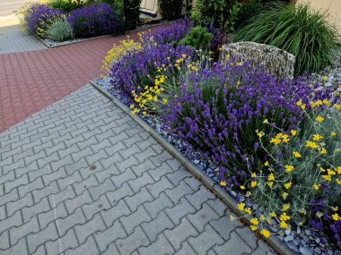 Yamaç parkında merdivenleri olan teraslar. Taş, hafif taşlı duvarlar içeriyor. Uzun ömürlü mavi lavanta ve pembe güller duvarın kenarında yetişir. Çimenler ve çakıl yolları, yol, patika, kale