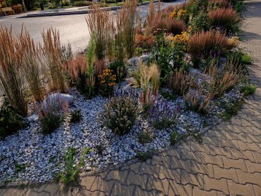 Süslü çiçek tarhı. Gri granitten yapılmış taşlar, şehir bahçesinde saman taşları, çayır, süs otları, havuz kenarında teras, çakıl taşı, mor, beyaz...