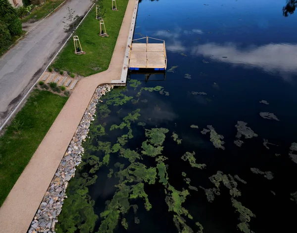 公园游客的码头 两步就到了 木板平台在水面上 有船坞的池塘 矩形的平面图 平台上没有栏杆 — 图库照片