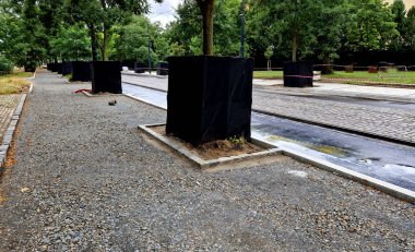 İnşaat alanındaki ağaç gövdelerinin korunması. Ara sokaktaki ağaçlar zarar görmemeli ve kazıcılar ve makineler hareket ettikçe ağaç kabuğu kolayca kırılabilir..