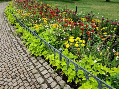 Her yıl sarı ve mavi çiçeklerle çevrili bir çiçek tarhı. Düşük çitle çevrili metal gri süslemeler. Yazın adaçayı ile peyzaj